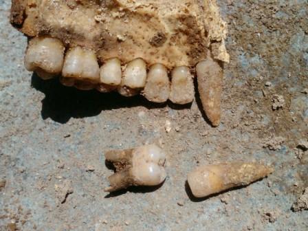 عکسهایی از روستای فرخار.دندان.اسکلت.200 الی 300 ساله